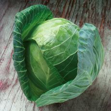 HYBRID CABBAGE, GREGORIAN