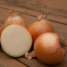 HYBRID ONION, BRANDT