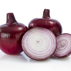 HYBRID ONION, SV4643NT