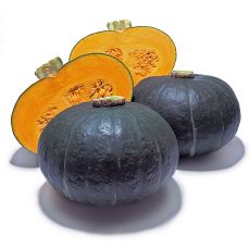 HYBRID SQUASH, SWEET MAMA