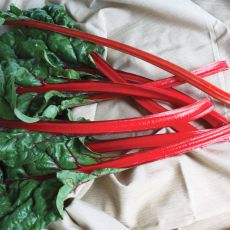 SWISS CHARD, RHUBARB