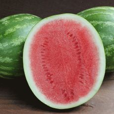 HYBRID WATERMELON, ROAD TRIP