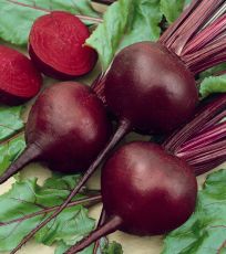 BEET, DETROIT DARK RED