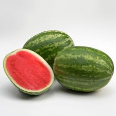 HYBRID WATERMELON, 7197HQ (SUPERSEEDLESS BRAND)