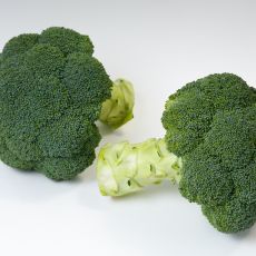 HYBRID BROCCOLI, APPALACHIAN