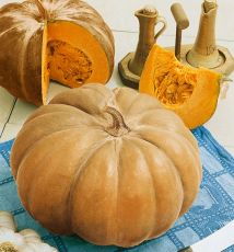 HYBRID PUMPKIN, AUTUMN BUCKSKIN