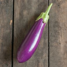 HYBRID EGGPLANT, DANCER