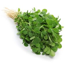 HERB, FENUGREEK