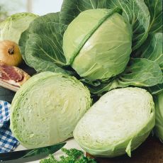 CABBAGE, GOLDEN ACRE