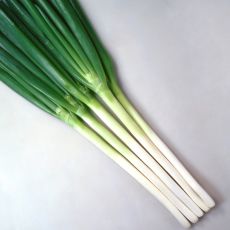 ONION, NATSUGURO