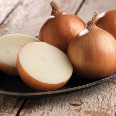 HYBRID ONION, OUTLANDER