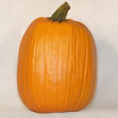 PUMPKIN, PHAT JACK