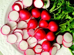 HYBRID RADISH, RED CASTLE