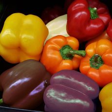 HYBRID PEPPER, SWEET GARDEN MINGLE MIX