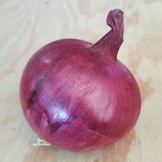 HYBRID ONION, TANNAT