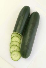 HYBRID CUCUMBER, TSX-CU203AS