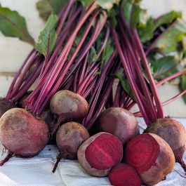 HYBRID BEET, RED ATLAS