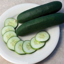 cucumber slicer