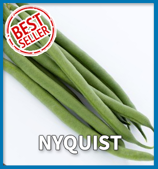 Best Seller - Catskill Onions