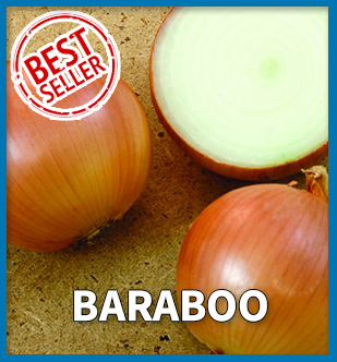 Best Seller - Catskill Onions